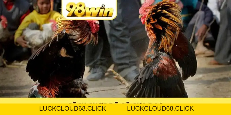 98WIN CLUB 🏆 Link 98WIN.COM Đẳng Cấp ⭐️ Tân Thủ Nạp +8.888K