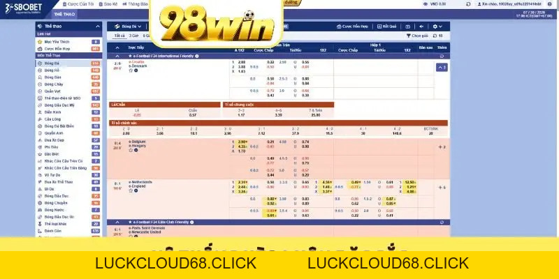 Trang Cá Cược Bóng Đá Uy Tín Đáng Chơi Nhất 2026