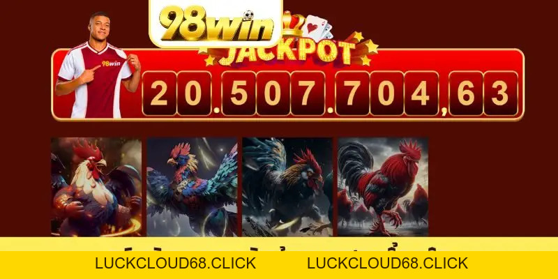 Đá Gà 98WIN - Nơi Các Trận Hùng Kê Nổi Danh Nhất 2026